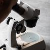 Proiectarea si lansarea noului model turnat AG*SRV 10